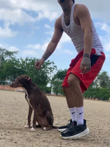 Lord_LuciferHotDirty777 Like 🫶🏽 my dog ❤️ صورة واحدة|Lord_LuciferHotDirty777 Like 🫶🏽 my dog ❤️ صورتان|Lord_LuciferHotDirty777 Like 🫶🏽 my dog ❤️  6 صور|Lord_LuciferHotDirty777 Like 🫶🏽 my dog ❤️  6 صورة