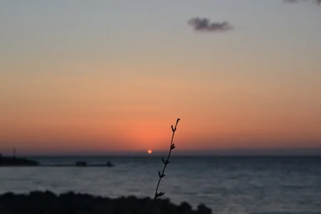 Public od BeatrixxAndLiam  7 snímek