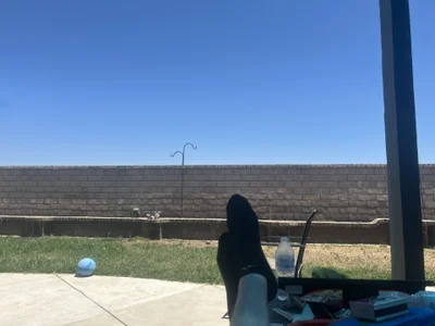 Tiggitytomociti Public Immagine  4