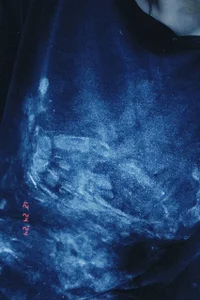 foxy_tease_ Walking in the sunny park🌈 Bilde 4