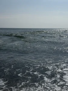 -NatalyRose- Some pics from my mini trip in Sochi ✨ Immagine  3