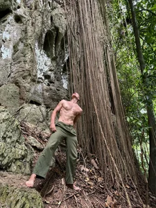 heilgarbest Rainforest Poză 6