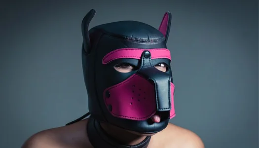 AntonelaVargas YOU WOULD NOT LIKE ME TO BE YOUR DOG Hình