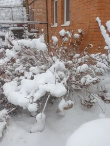 GypsyEsmeralda kullanıcısının you keep me warm this winter albümü -  2 fotoğraf