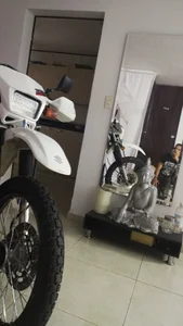 Bull_Xvi Public Foto 6