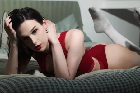 _yourFoxy_ Noar Fox 사진