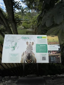 Angelo 🫶🏻✨🔥❤️ de marckalexis  Imagens