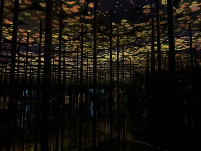 yua_chan00のPublicの 3枚の写真