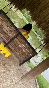 Lia_Hurley 🌻🍃✨ Pic 3