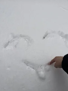 nanagaga 来个小诱惑 slika 4