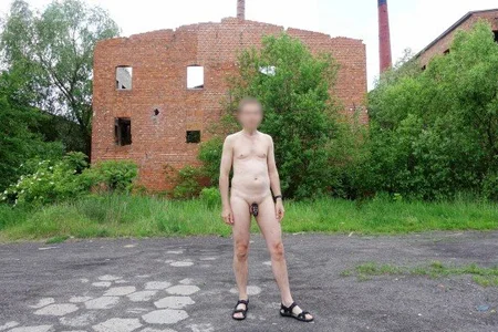 ExhibitPoll Fotki Pic 5