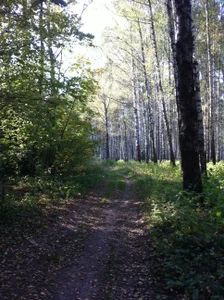 Vfhuj's photo
