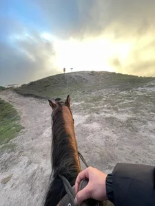 Goldenknight33 🐎🌅 圖片 4