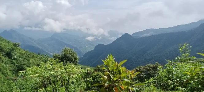 Onehittt Public slika 3