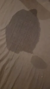 loflow69Elle est fontaine 😅图片