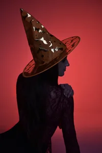 SabrinaWayne Sabrina the Witch Pic 2