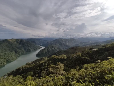 TigerStripes1_ World Hình 3