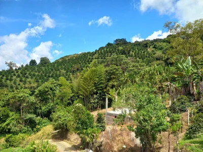 amabel_zambrano La María Colombia صورة واحدة|amabel_zambrano La María Colombia صورتان|amabel_zambrano La María Colombia  4 صور|amabel_zambrano La María Colombia  4 صورة