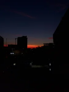 foxy_tease_ A little bit of my vibe Bilde 4