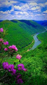 Public de kazuia8  6 Imagens