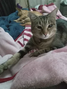 Anniseed_64 Public Hình 9