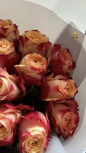 Eva_Weyne Public รูป  3