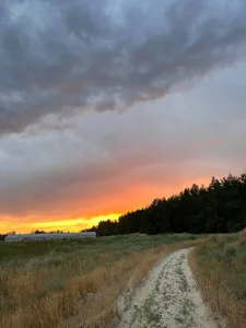 juli_kisss Beer and nature🍺🌴 Pic 2