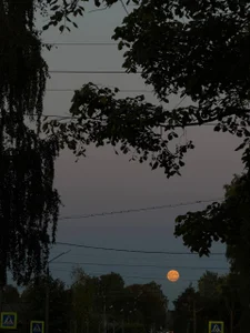 Touch_And_Run Cozy autumn evenings with me. Gambar 8