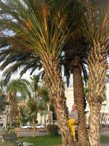 Jane_Lewis Public зображення 4