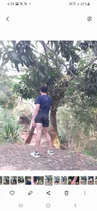 Gh_garciaz En el avila  3. fénykép