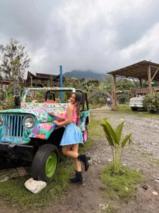 simpson_alice Public Immagine  7