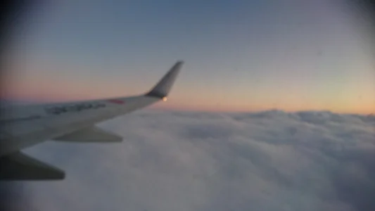 AMI___oO 旅行✈️ Foto