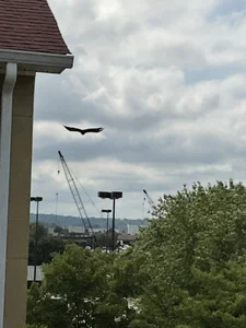 TheoreticallyCrazy2 Public Foto 3