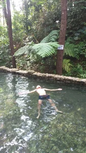 Public de Dwirosebig  Imagens