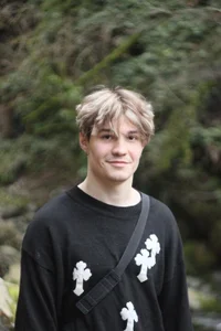 Forest and mountains od pepedastro  snímek