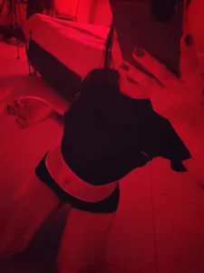 selene_hohir The red! ♥️ Pic 2