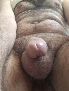 Coqueto de delfi6  2 Imagens