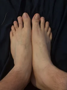 Pieds de Mecvierge  6 Imagens