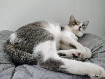 chunn_liioo My facts🤩😸 Pic