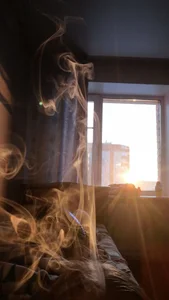 Mildmischief Public Foto 4