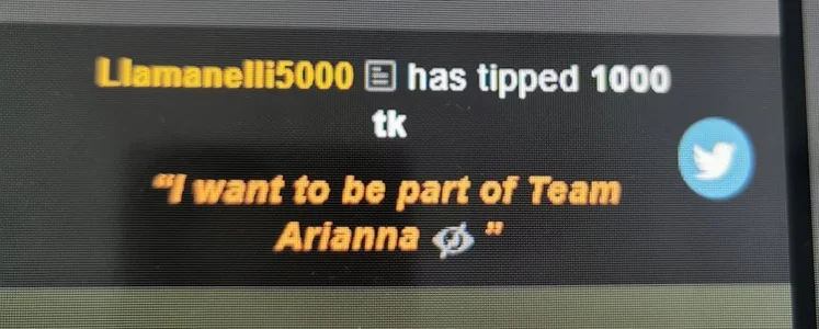 AriannaSins My Team Immagine 