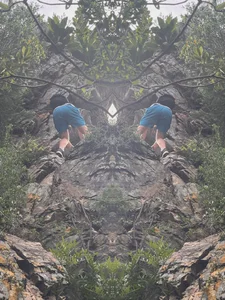 FloralMindxo Public 圖片 3