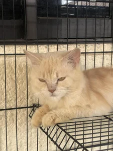 bebe_hemosa69x my bby 사진 3