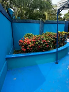 brehyder Oculta Foto