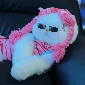 Mimi_cute20😽😽😽图片 6