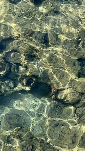 GentleRossi: Egypt🇪🇬 ( 4 фото)