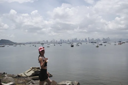 ambeerwood1 panama city Pic