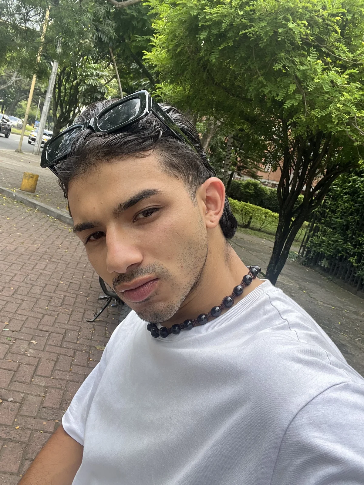 ArturoCardona_ избранные изобра жения 7253