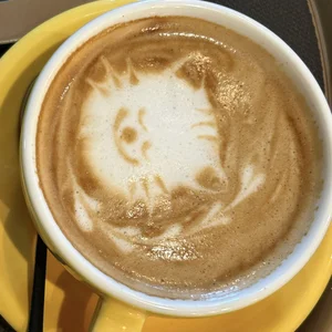 HoneyBunny-Sasa Sasa♡ صورة واحدة|HoneyBunny-Sasa Sasa♡ صورتان|HoneyBunny-Sasa Sasa♡  2 صور|HoneyBunny-Sasa Sasa♡  2 صورة