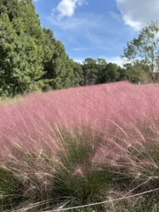 xxoLENAoxx expo a Osaka Foto 5